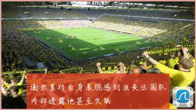 谢尔基对自身表现感到沮丧法国队内部透露他甚至失眠